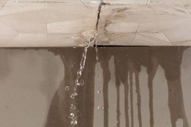 Professional Structural Drying technician working in West Springfield, PA